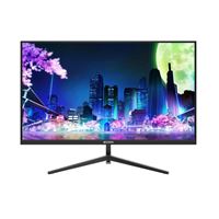 Màn hình gaming E-Dra EGM24F120PV (23.8Inch/ Full HD/ 1ms/ 120Hz/ 250cd/m2/ IPS)